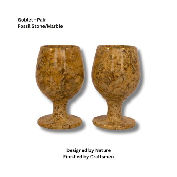 Fossil Stone Goblet Set of 2