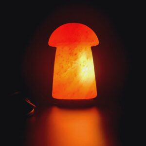 Himalayan Mushroom Salt Lamp