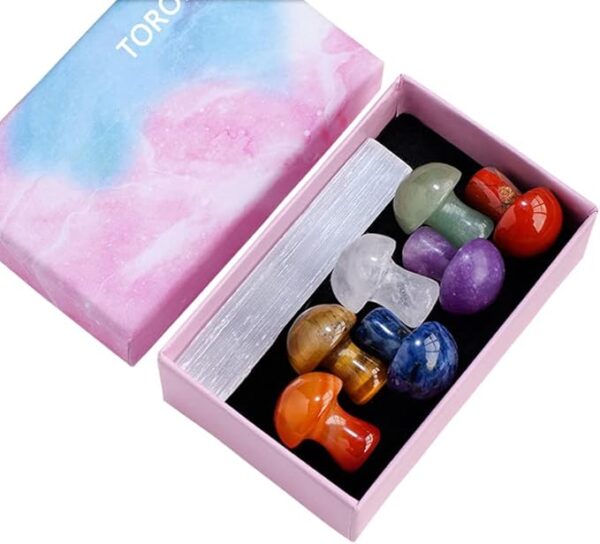 crystal mushroom set