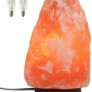 Himalayan salt lamp