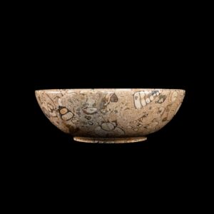 Fossil Coral Marble Bowl